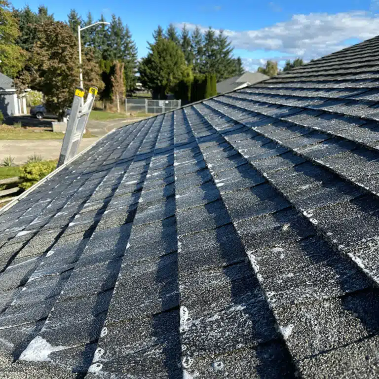 Roof Cleaning in Portland, Or